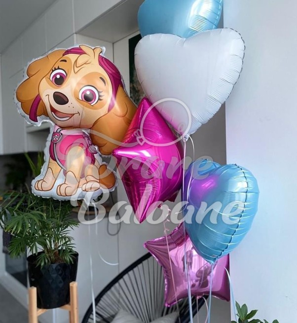 Set Baloane cu Heliu (LB-13065)