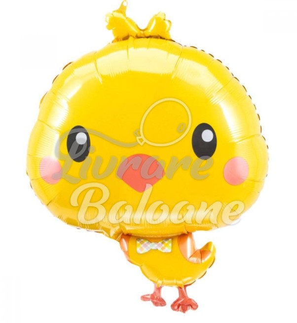 Balon cu Heliu_PUIȘOR