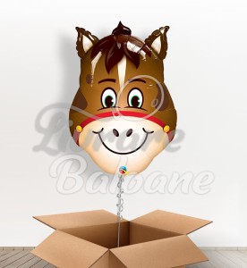 Balon cu Heliu_CALUȚ VESEL