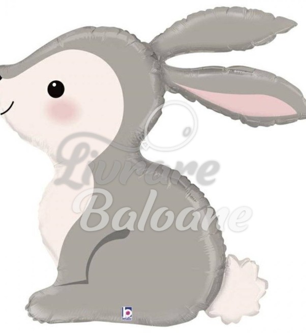 Balon cu Heliu_Iepuraș de Pădure