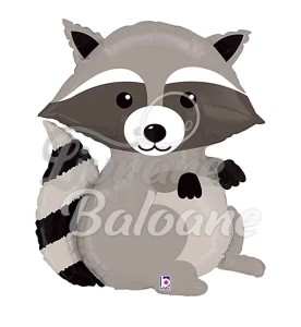 Balon cu Heliu_Raton de Pădure