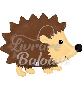 Balon cu Heliu_ Ariciul de pădure