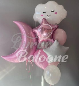 Baloane cu Heliu Nou Nascut (LB-14057)