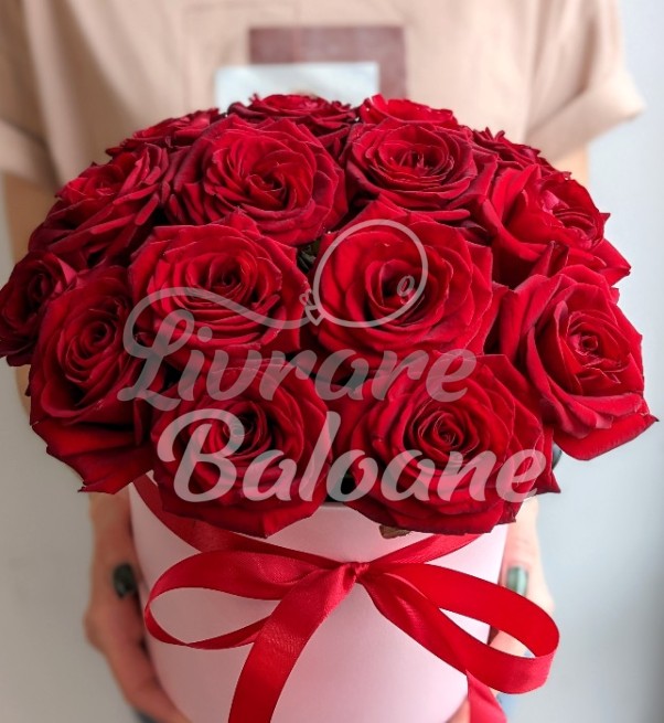15 Trandafiri Rosii in Cutie