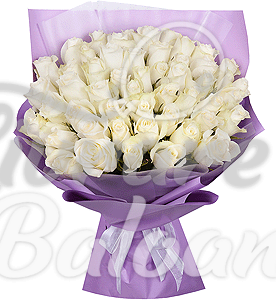 51 Trandafiri Albi in Buchet