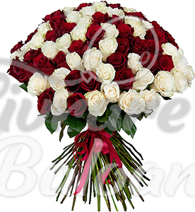 Buchet din 51 Trandafiri Albi-Rosii