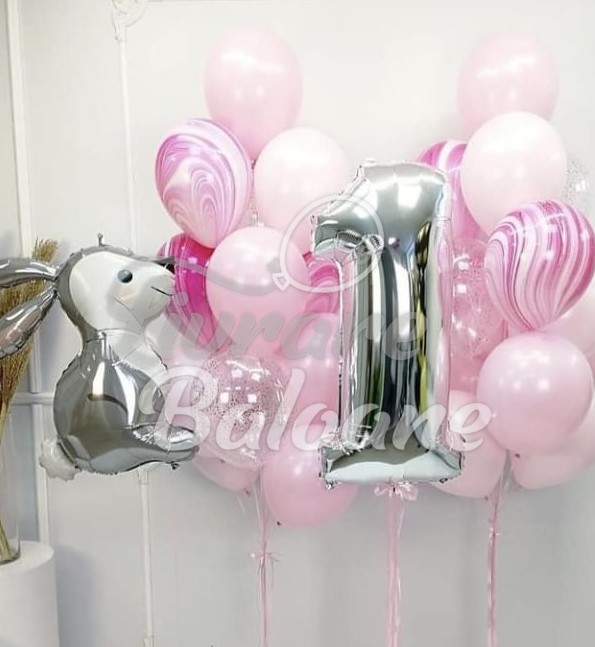 Baloane cu Heliu Copii  (LB-13071)