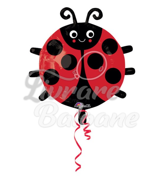 Balon cu Heliu_BUBURUZĂ 48 cm