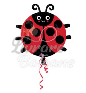 Balon cu Heliu_BUBURUZĂ 48 cm