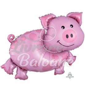 Balon cu Heliu_Purceluș Jucăuș