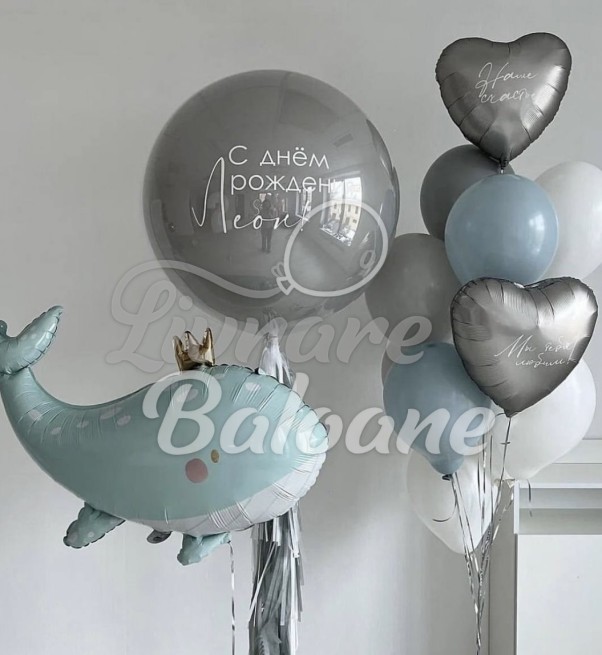 Baloane cu Heliu (LB-13084)