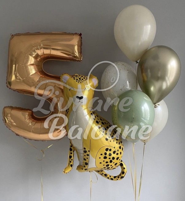 Set Baloane cu Heliu Copii (LB-13085)