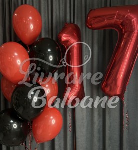 Baloane_cu_Heliu_Femei (LB-12058)
