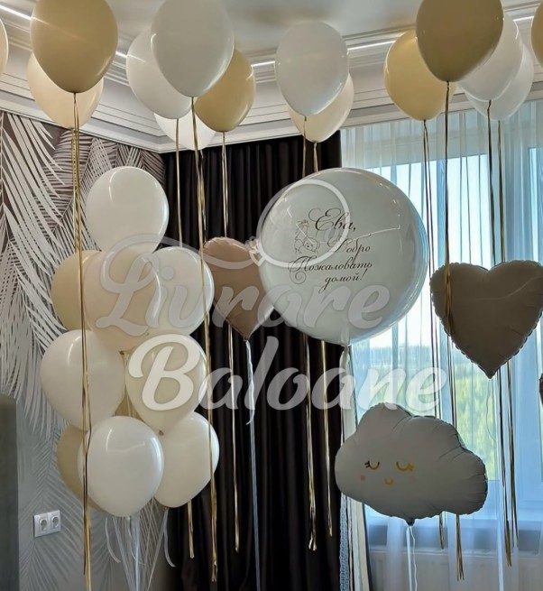 Decor cu Baloane_Nou Nascut (LB-14094)