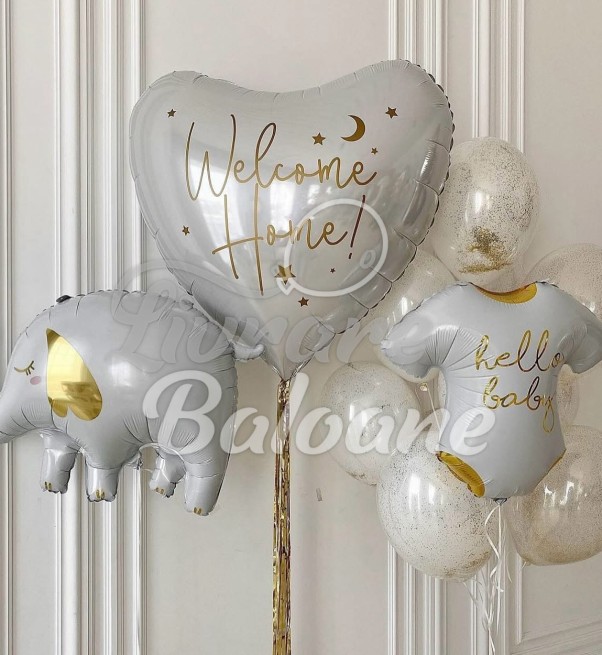 Set Baloane Nou Nǎscut (LB-14100)