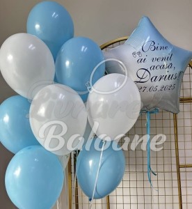 Baloane_Nou_Nǎscut (LB-14103)