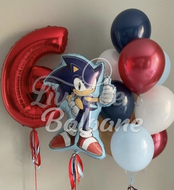 Baloane cu Heliu_Copii_Sonic