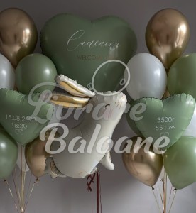 Baloane cu Heliu pentru Externare (LB-14109)