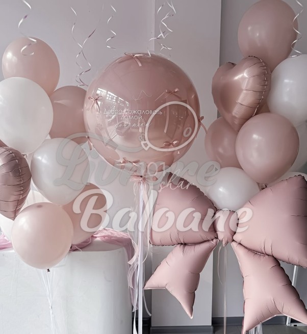 Гелиевые шары_Выписка из роддома_ДЕВОЧКА (LB-14111)