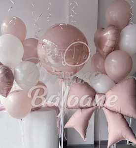 Гелиевые шары_Выписка из роддома_ДЕВОЧКА (LB-14111)