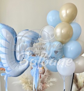 Гелиевые шары_Выписка из роддома_МАЛЬЧИК (LB-14112)