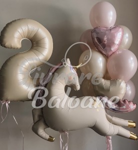 Baloane cu Heliu_Copii (LB-130020)