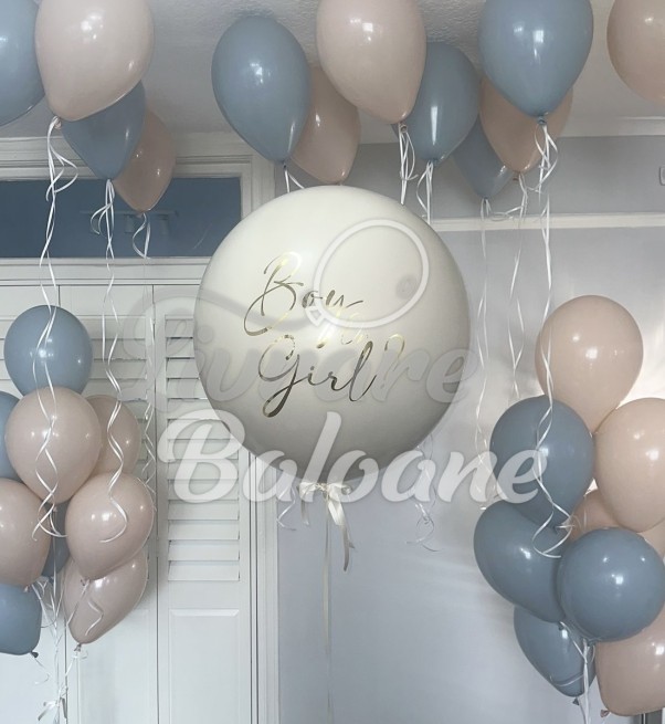 Decor cu Baloane pentru GENDER PARTY (LB-23002)