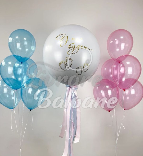 Baloane cu Heliu_GENDER PARTY_Fetiță sau Băiat (LB-23006)