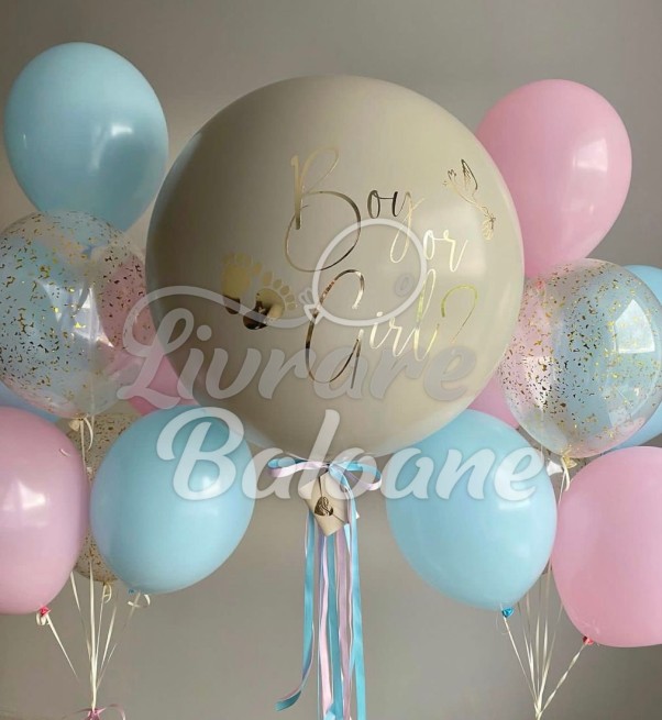 GENDER PARTY_Boy or Girl (LB-23009)