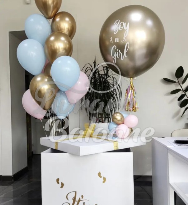 Cutie si Baloane Personalizate_BOY or GIRL (LB-23011)
