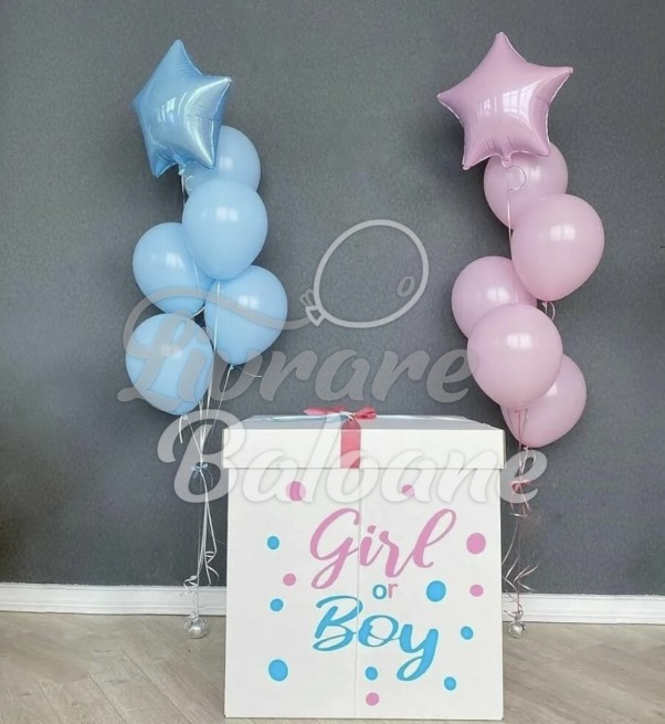 Petrecerea GENDER PARTY cu Baloane (LB-23012)