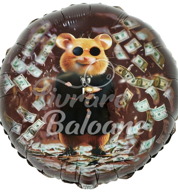 Căpitanul succesului_balonul hamster (LB-19316)
