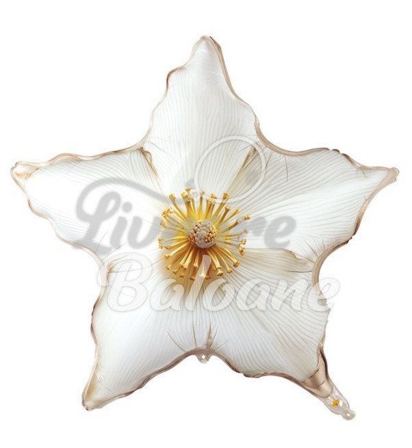 Balon Figurinǎ cu Heliu_FLOARE ALBǍ (LB-18153)